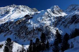 images (2)