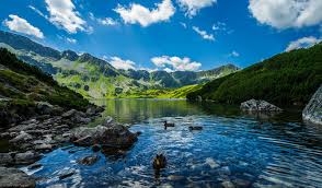 images (3)