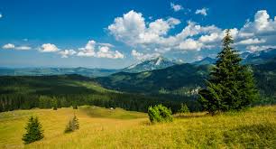 images (4)